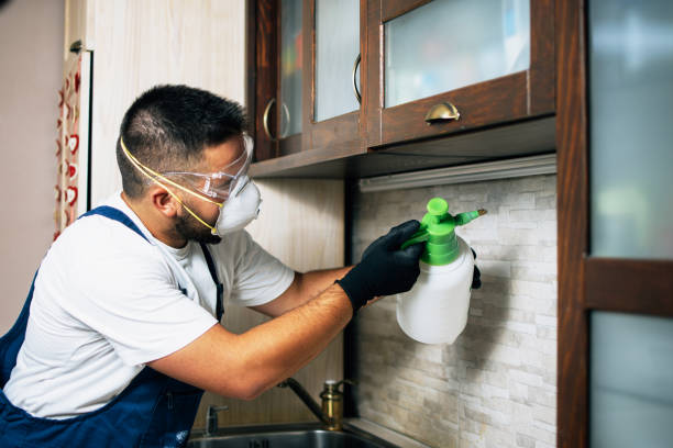 Best Affordable Pest Control Services  in Mill Neck, NY