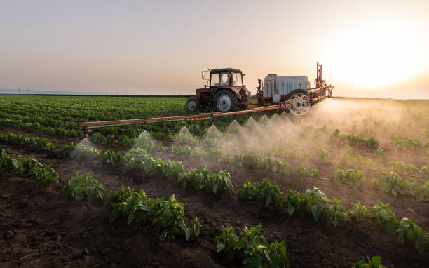 Professional Pest Control in Mill Neck, NY