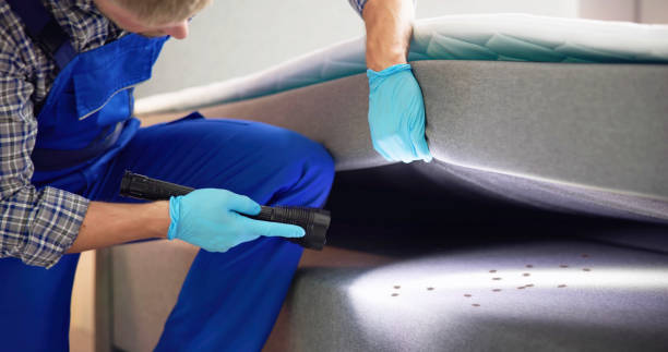 Best Pest Control for Businesses  in Mill Neck, NY