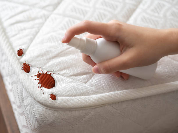 Best Pest Control Near Me in Mill Neck, NY
