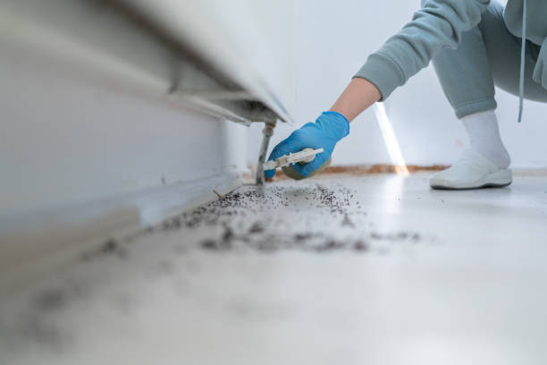 Best Flea Control Services  in Mill Neck, NY