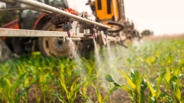 Pest Control Cost in Mill Neck, NY